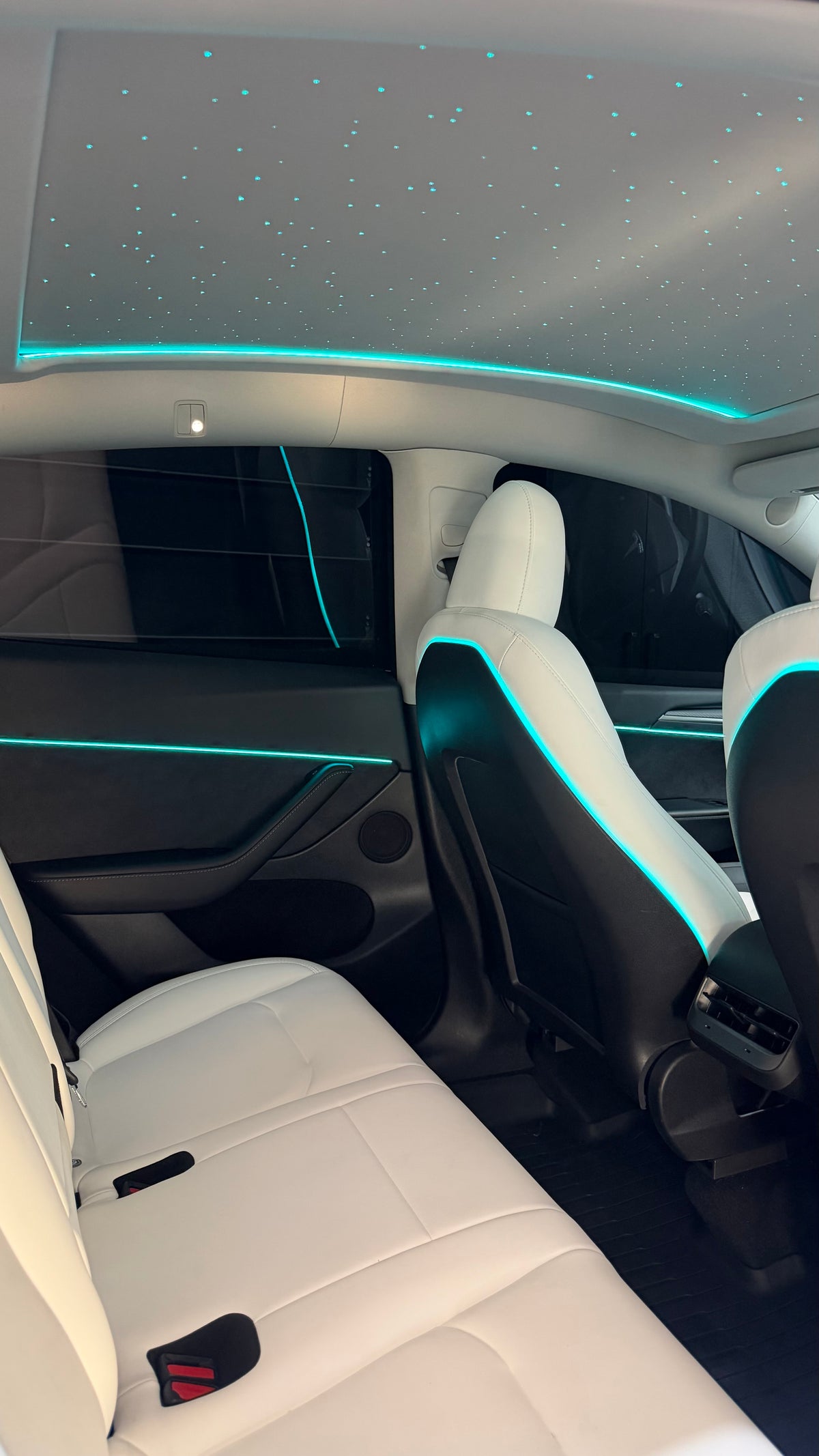 2020-2025 Tesla Model Y Electric Starlight Sunshade Starry Sky